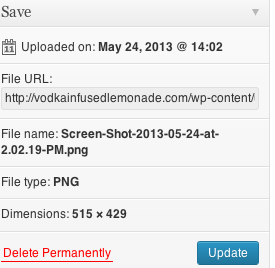 File/Picture URL