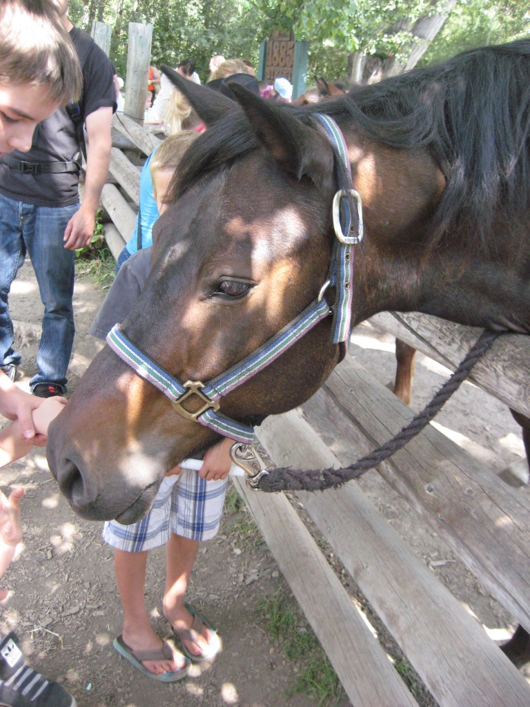 Fort Edmonton Park