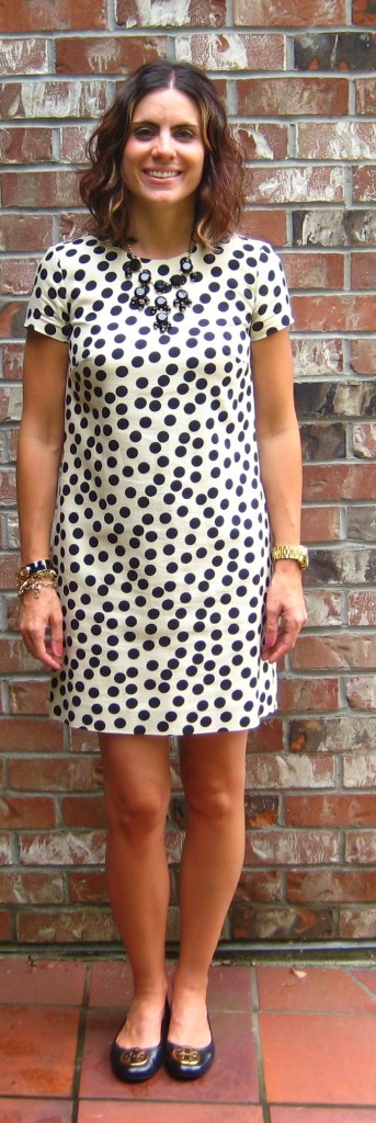 J Crew Polka Dot Dress