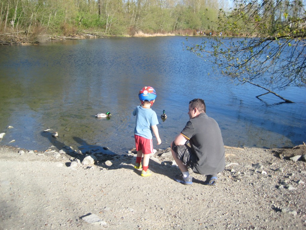 Fun in the sun