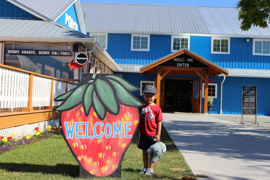 Krause Farms